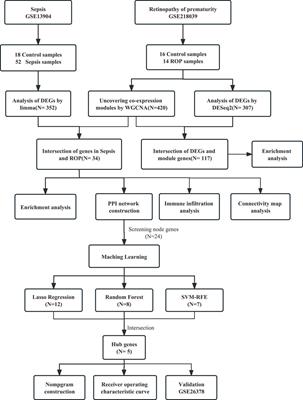 Identification of immune-related genes in diagnosing retinopathy of prematurity with sepsis through bioinformatics analysis and machine learning